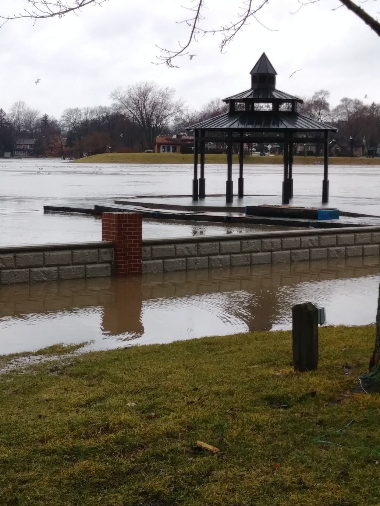 Flood